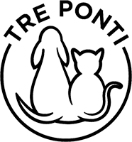 logo-treponti